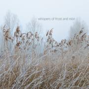 Whispers of Frost and Mist